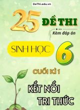 Tuyển tập 25 Đề thi cuối Kì 1 môn Sinh Học 6 sách Kết Nối Tri Thức (Kèm đáp án)